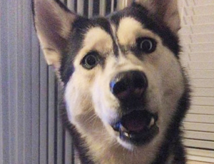 在线DDOS压力测试网页端