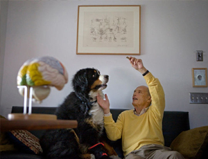 在线DDOS压力测试网页端